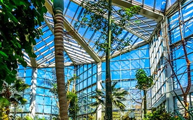 Inside the tropical greenhouse in the Palm Gardens, Frankfurt, Germany